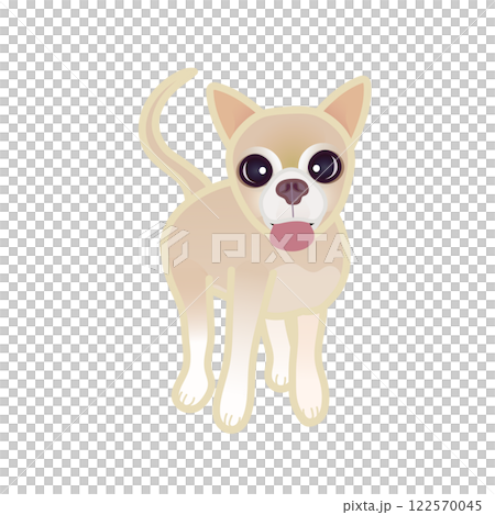 米色光滑的吉娃娃插圖 122570045