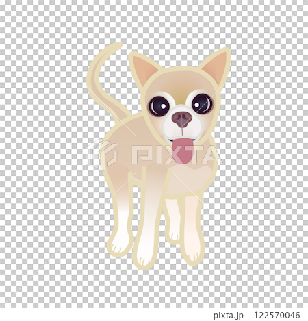 米色光滑的吉娃娃插圖 122570046