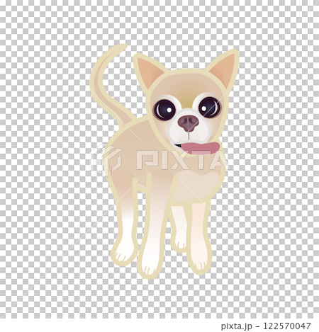 Beige smooth chihuahua illustration 122570047