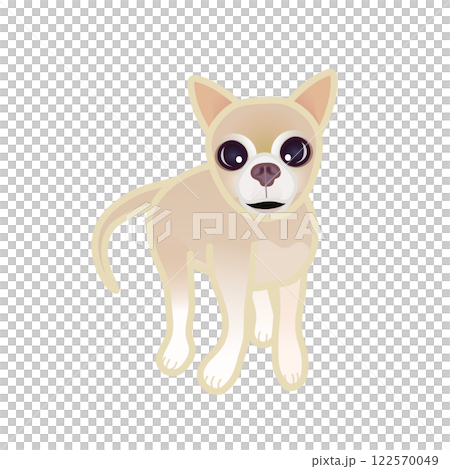 米色光滑的吉娃娃插圖 122570049