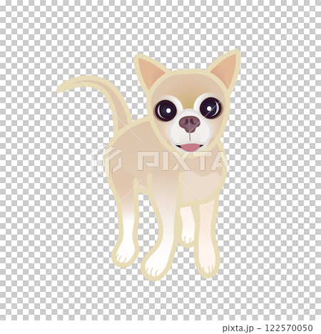 米色光滑的吉娃娃插圖 122570050