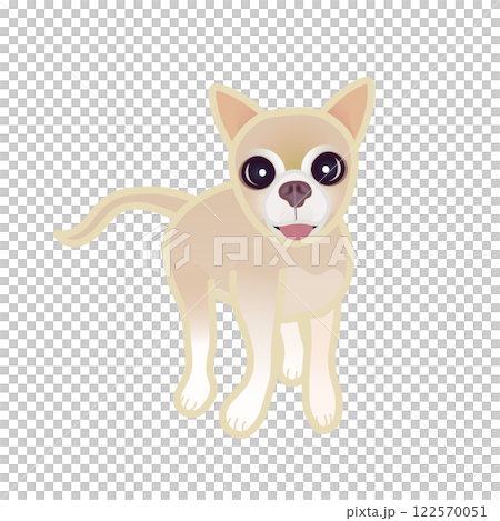 Beige smooth chihuahua illustration 122570051