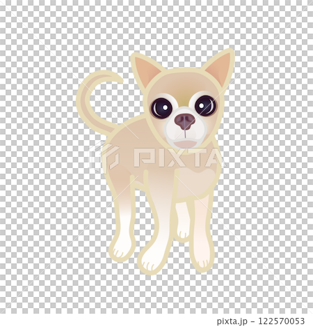 米色光滑的吉娃娃插圖 122570053