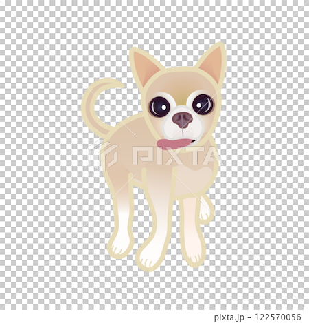 Beige smooth chihuahua illustration 122570056