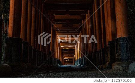 Fushimi Inari at night. Hundreds of torii gates. Kyoto. Japan. Fushimi Inari at night. Hundreds of torii gates. Kyoto. Japan. 122570106