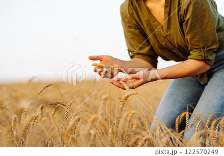 Woman farmer analyzes the harvest in a golden wheat field. Agronomist checks the progress of harvest 122570249