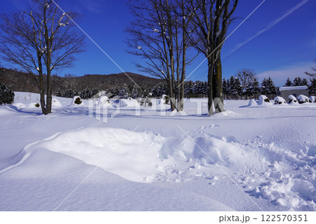 雪に埋もれた冬の北海道こどもの国(高速道路側駐車場付近) 雪に埋もれた冬の北海道こどもの国(高速道路側駐車場付近) 122570351
