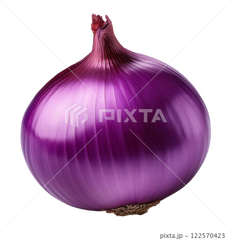 Fresh Purple Onion with Glossy Texture 122570423