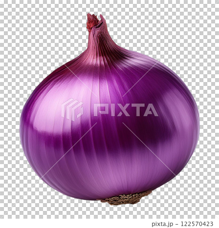 Fresh Purple Onion with Glossy Texture 122570423