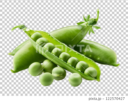 Fresh Green Pea Pods with Shelled Peas 122570427