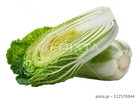 Crunchy Napa Cabbage or Chinese Cabbage as Green and White Leafy Vegetable 122570844
