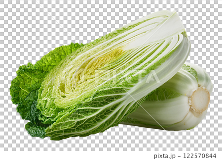 Crunchy Napa Cabbage or Chinese Cabbage as Green and White Leafy Vegetable 122570844