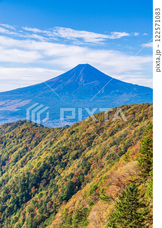 【山梨県】紅葉が美しい三ツ峠山から望む富士山 早朝 【山梨県】紅葉が美しい三ツ峠山から望む富士山 早朝 122571083
