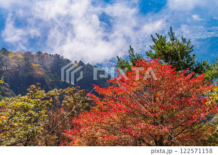 【山梨県】紅葉が美しい三ツ峠山（谷間の霧） 122571158