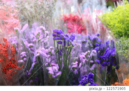 Jan 26 2025 Floral Bouquets in Vibrant Colors Displayed at a Flower Market Jan 26 2025 Floral Bouquets in Vibrant Colors Displayed at a Flower Market 122571905