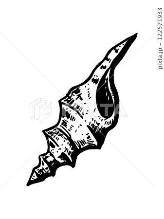 sea vector sketch shell 122571933