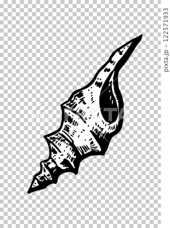 sea vector sketch shell sea vector sketch shell 122571933