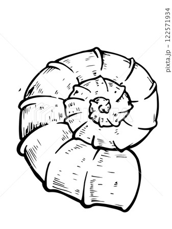 sea vector sketch shell 122571934