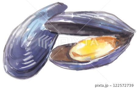 美味しそうなムール貝のリアルな水彩イラスト 122572739