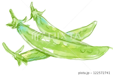 美味しそうなサヤエンドウのリアルな水彩イラスト 122572741