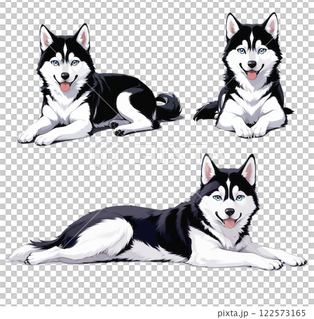 Set of cute husky Set of cute husky 122573165