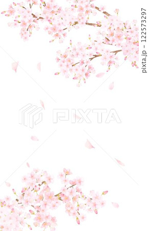 美しい薄いピンク色の桜の花と花びら春の白バックiPhoneなど縦長画面サイズの背景素材イラスト 122573297