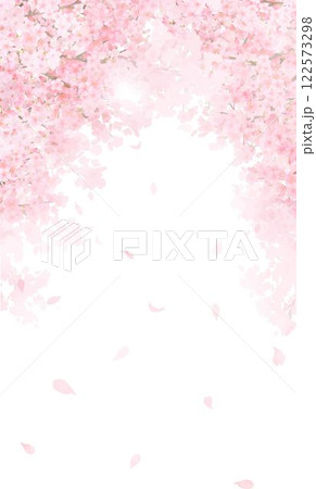美しい薄いピンク色の桜の花と花びら春の白バックiPhoneなど縦長画面サイズの背景素材イラスト 122573298