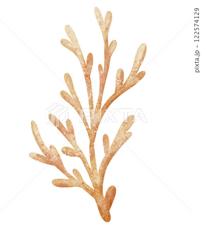 Watercolor illustration of Coral branch in pastel colors. Drawing of Reefs or seaweed for kids greeting cards or baby shower invitations. Algae for nursery wall art in nautical style. Watercolor illustration of Coral branch in pastel colors. Drawing of Reefs or seaweed for kids greeting cards or baby shower invitations. Algae for nursery wall art in nautical style. 122574129