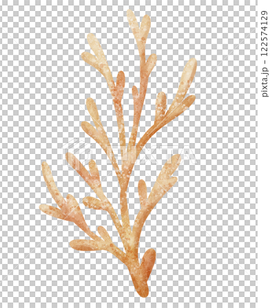 Watercolor illustration of Coral branch in pastel colors. Drawing of Reefs or seaweed for kids greeting cards or baby shower invitations. Algae for nursery wall art in nautical style. Watercolor illustration of Coral branch in pastel colors. Drawing of Reefs or seaweed for kids greeting cards or baby shower invitations. Algae for nursery wall art in nautical style. 122574129