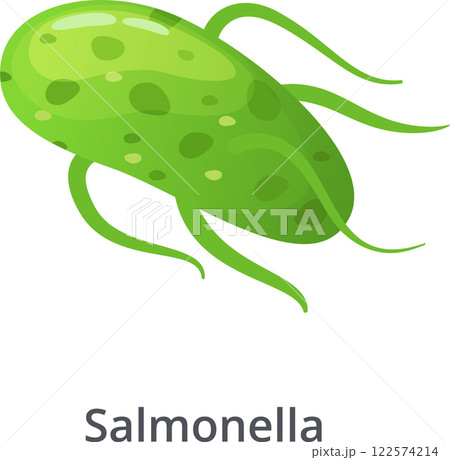 Salmonella bacteria, a common cause of food poisoning, is depicted moving with its flagella, highlighting its motility and potential to spread infection 122574214