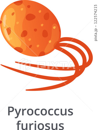Pyrococcus furiosus, an extremophile microorganism from the Archaea domain, is moving using flagella, in a scientific illustration with white background 122574215