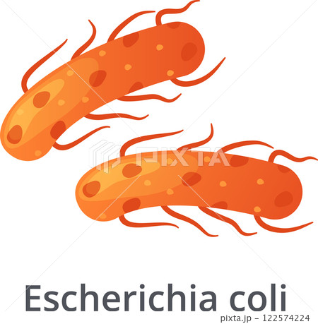 Escherichia coli bacteria is a common cause of food poisoning and urinary tract infections, highlighting the importance of food safety and hygiene Escherichia coli bacteria is a common cause of food poisoning and urinary tract infections, highlighting the importance of food safety and hygiene 122574224