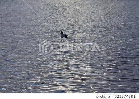 玉島の町並み 通町商店街 岡山県倉敷市 玉島の町並み 通町商店街 岡山県倉敷市 122574591
