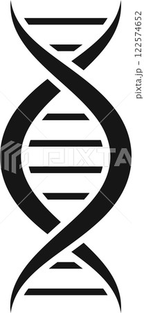 Dna molecule forming double helix with genetic information encoded in chemical bases adenine, guanine, cytosine and thymine, essential for heredity and protein synthesis 122574652