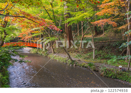 森町の遠江国一宮小國神社のもみじまつりの紅葉の風景(静岡県) 森町の遠江国一宮小國神社のもみじまつりの紅葉の風景(静岡県) 122574938