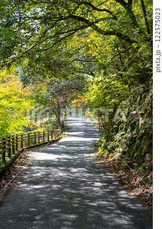 【岡山県総社市】豪渓 122575023