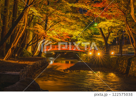 森町の遠江国一宮小國神社の紅葉のライトアップに映える橋の風景(静岡県) 森町の遠江国一宮小國神社の紅葉のライトアップに映える橋の風景(静岡県) 122575038