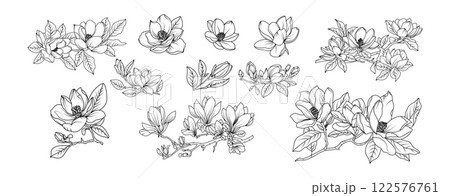 Magnolia flower arrangement line art on white background. Silhouette magnolia botanical hand drawn element for wedding, invitation frame design, vector illustration 122576761