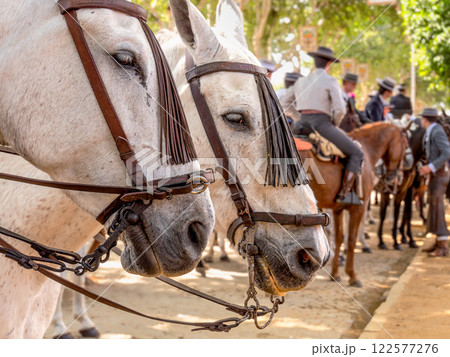 Elegant horses and riders at the vibrant Seville Fair 122577276
