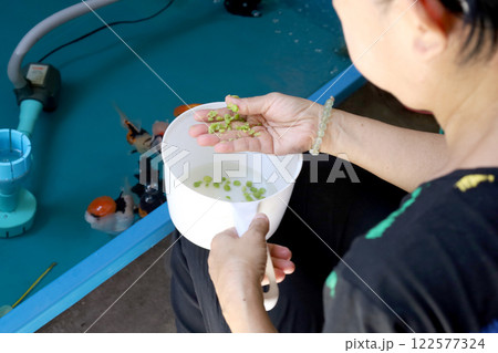 Group of Goldfish Group of Goldfish 122577324