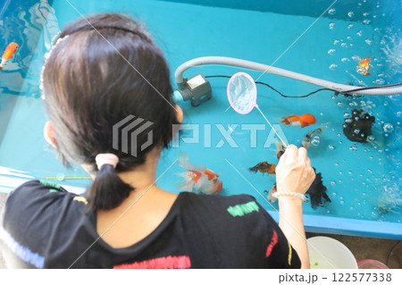 Group of Goldfish 122577338