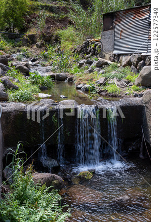 Small waterfall, Madeira, Portugal 122577349
