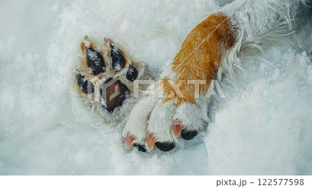 Close up paws of a big brown dog standing on the cold snow on a frosty winter day. A pet walking in the nature. Canine domestic animal cropped photo. This is AI-generated item 122577598