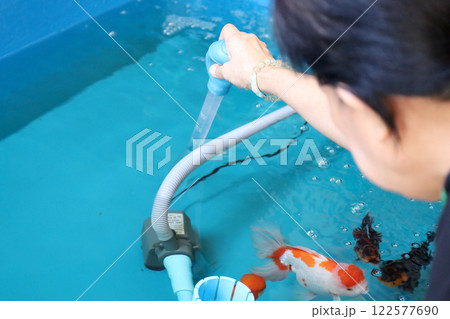 Group of Goldfish Group of Goldfish 122577690