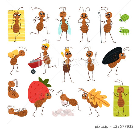 Cute cartoon ant. Funny ants working, communication, rest and nursing for larvae. Insects activity in various poses, forest flora and fauna classy vector characters 122577932