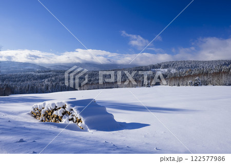 Typical winter landscape with logs wood near Modrava, Nation park Sumava, Czech Republic Typical winter landscape with logs wood near Modrava, Nation park Sumava, Czech Republic 122577986