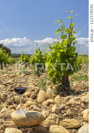 Typical vineyard with stones near Chateauneuf-du-Pape, Cotes du Rhone, France Typical vineyard with stones near Chateauneuf-du-Pape, Cotes du Rhone, France 122578036