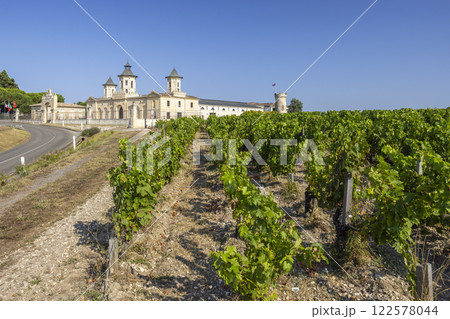 Vineyards with Chateau Cos d'Estournel, Bordeaux, Aquitaine, France 122578044