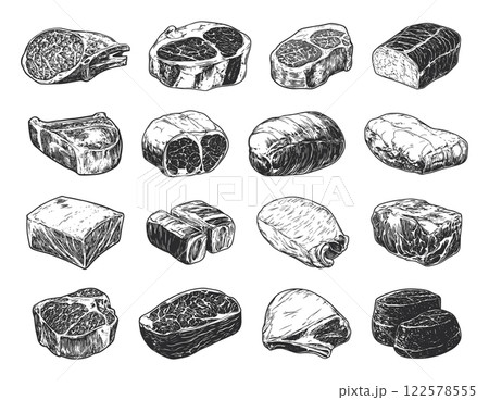 Raw Meat Vintage Hand Drawn Illustrations Set On White Creative Design Butcher Meat Cuts Icons Rustic Food Elements Antique Culinary Collection Artistic Visuals Timeless Graphics 122578555