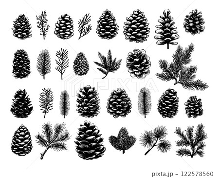 Pine Cones And Branches Linocut Print Style Icons Set On White Winter Forest Branches Nature Icons Carved Symbols Nature Prints Woodland Elements Bold Print Illustrations 122578560